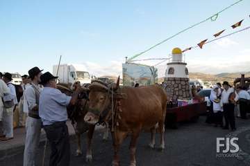Alegre y participativa romería en El Ejido (Foto FJ Santana y TF)